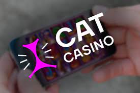 Используйте  заркало CatCasino, и играйте в слоты на деньги в интернете